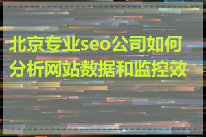 北京专业seo公司如何分析网站数据和监控效果