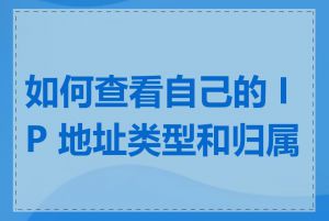 如何查看自己的 IP 地址类型和归属地