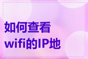 如何查看wifi的IP地址