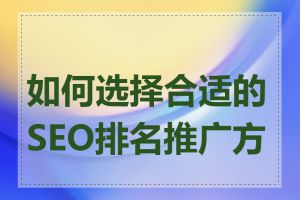 如何选择合适的SEO排名推广方案