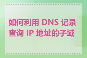 如何利用 DNS 记录查询 IP 地址的子域名