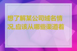 想了解某公司域名情况,应该从哪些渠道着手