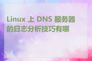 Linux 上 DNS 服务器的日志分析技巧有哪些