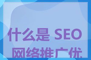 什么是 SEO 网络推广优化