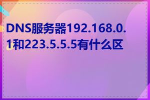 DNS服务器192.168.0.1和223.5.5.5有什么区别