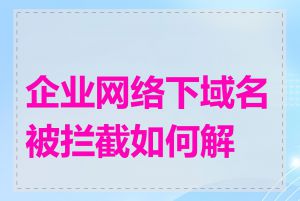 企业网络下域名被拦截如何解决