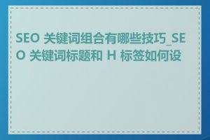 SEO 关键词组合有哪些技巧_SEO 关键词标题和 H 标签如何设置