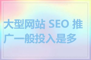 大型网站 SEO 推广一般投入是多少