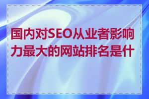 国内对SEO从业者影响力最大的网站排名是什么