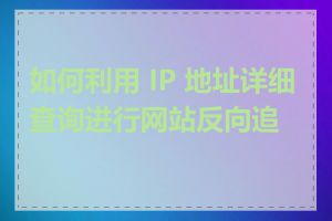 如何利用 IP 地址详细查询进行网站反向追踪