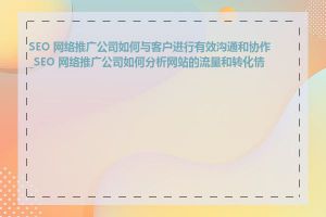 SEO 网络推广公司如何与客户进行有效沟通和协作_SEO 网络推广公司如何分析网站的流量和转化情况