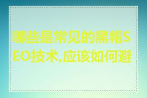 哪些是常见的黑帽SEO技术,应该如何避免