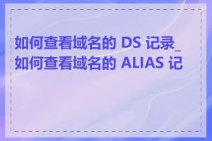 如何查看域名的 DS 记录_如何查看域名的 ALIAS 记录