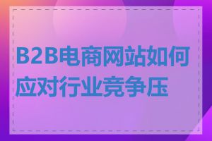 B2B电商网站如何应对行业竞争压力