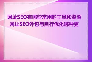 网址SEO有哪些常用的工具和资源_网址SEO外包与自行优化哪种更好