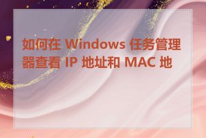 如何在 Windows 任务管理器查看 IP 地址和 MAC 地址