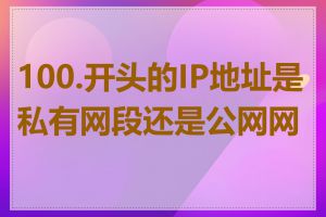 100.开头的IP地址是私有网段还是公网网段