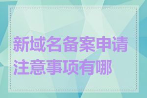 新域名备案申请注意事项有哪些