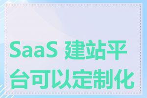 SaaS 建站平台可以定制化吗