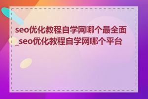 seo优化教程自学网哪个最全面_seo优化教程自学网哪个平台好