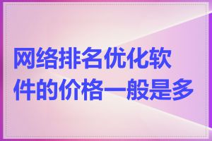 网络排名优化软件的价格一般是多少