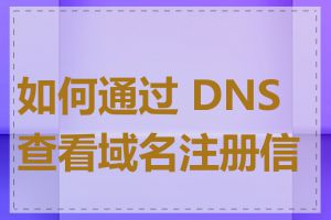 如何通过 DNS 查看域名注册信息