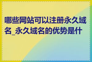 哪些网站可以注册永久域名_永久域名的优势是什么