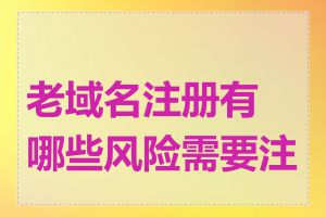 老域名注册有哪些风险需要注意