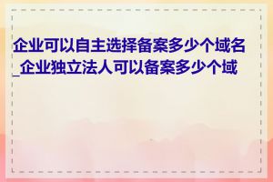 企业可以自主选择备案多少个域名_企业独立法人可以备案多少个域名