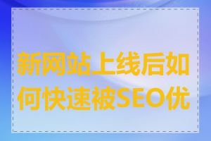 新网站上线后如何快速被SEO优化