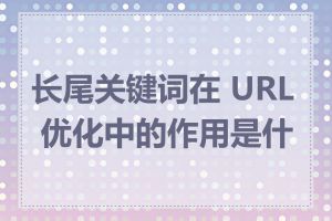 长尾关键词在 URL 优化中的作用是什么