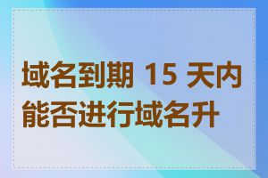 域名到期 15 天内能否进行域名升级