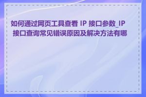 如何通过网页工具查看 IP 接口参数_IP 接口查询常见错误原因及解决方法有哪些