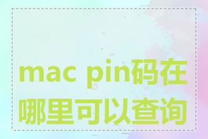 mac pin码在哪里可以查询到