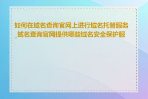 如何在域名查询官网上进行域名托管服务_域名查询官网提供哪些域名安全保护服务