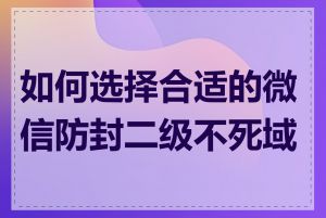 如何选择合适的微信防封二级不死域名