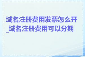 域名注册费用发票怎么开_域名注册费用可以分期吗