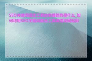 SEO关键词组合工具的发展趋势是什么_如何利用SEO关键词组合工具来提高网站排名