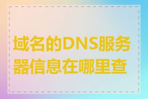 域名的DNS服务器信息在哪里查看