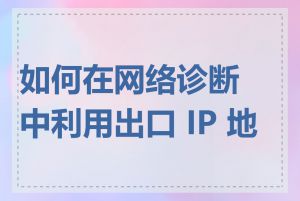 如何在网络诊断中利用出口 IP 地址