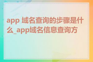 app 域名查询的步骤是什么_app域名信息查询方法