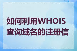 如何利用WHOIS查询域名的注册信息