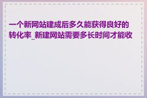 一个新网站建成后多久能获得良好的转化率_新建网站需要多长时间才能收录