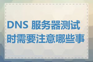 DNS 服务器测试时需要注意哪些事项