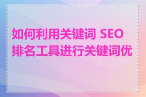 如何利用关键词 SEO 排名工具进行关键词优化