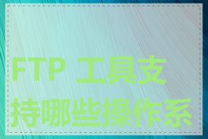 FTP 工具支持哪些操作系统