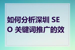 如何分析深圳 SEO 关键词推广的效果