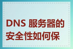 DNS 服务器的安全性如何保证