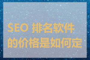 SEO 排名软件的价格是如何定的