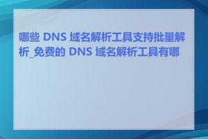 哪些 DNS 域名解析工具支持批量解析_免费的 DNS 域名解析工具有哪些